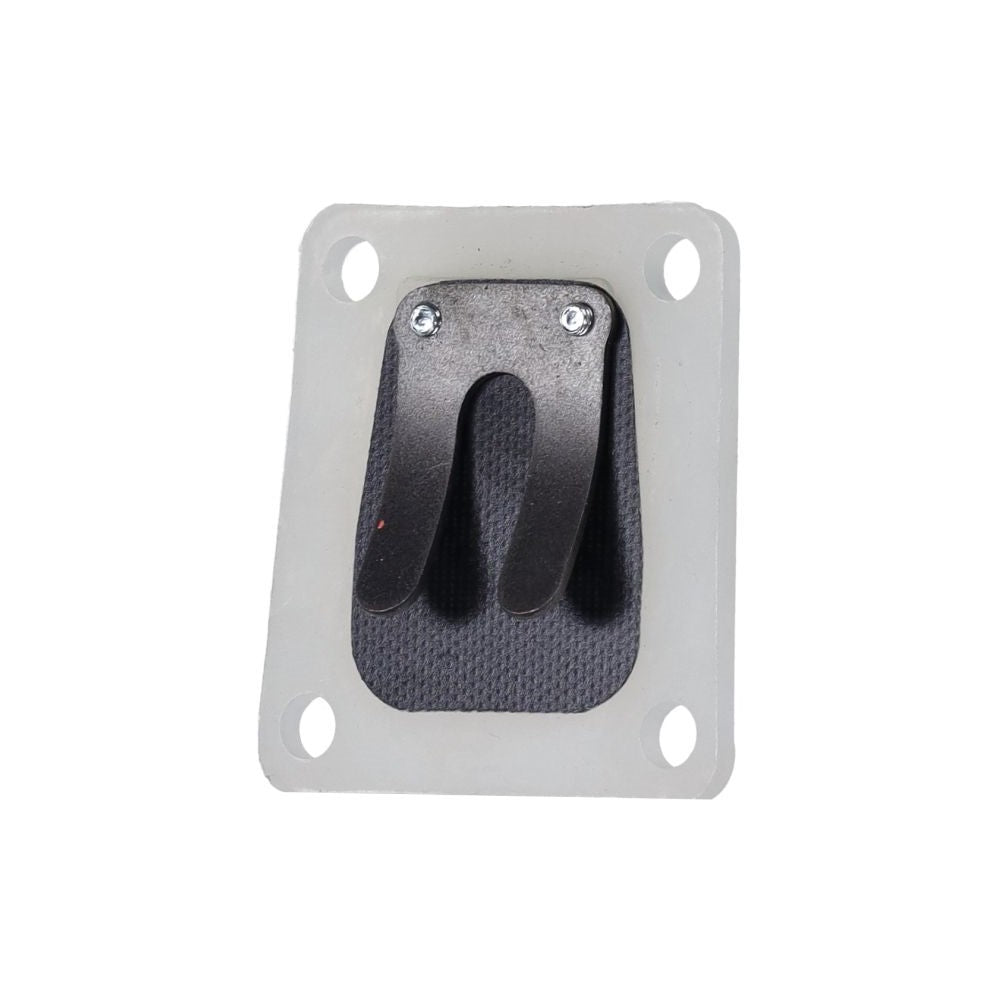 Membraam Tomos A35 | Malossi